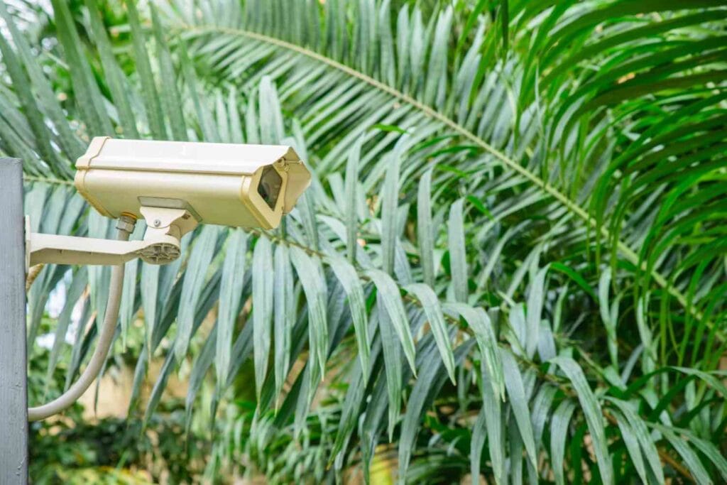 Advantages of Hiring Local Security Camera Installation Professionals