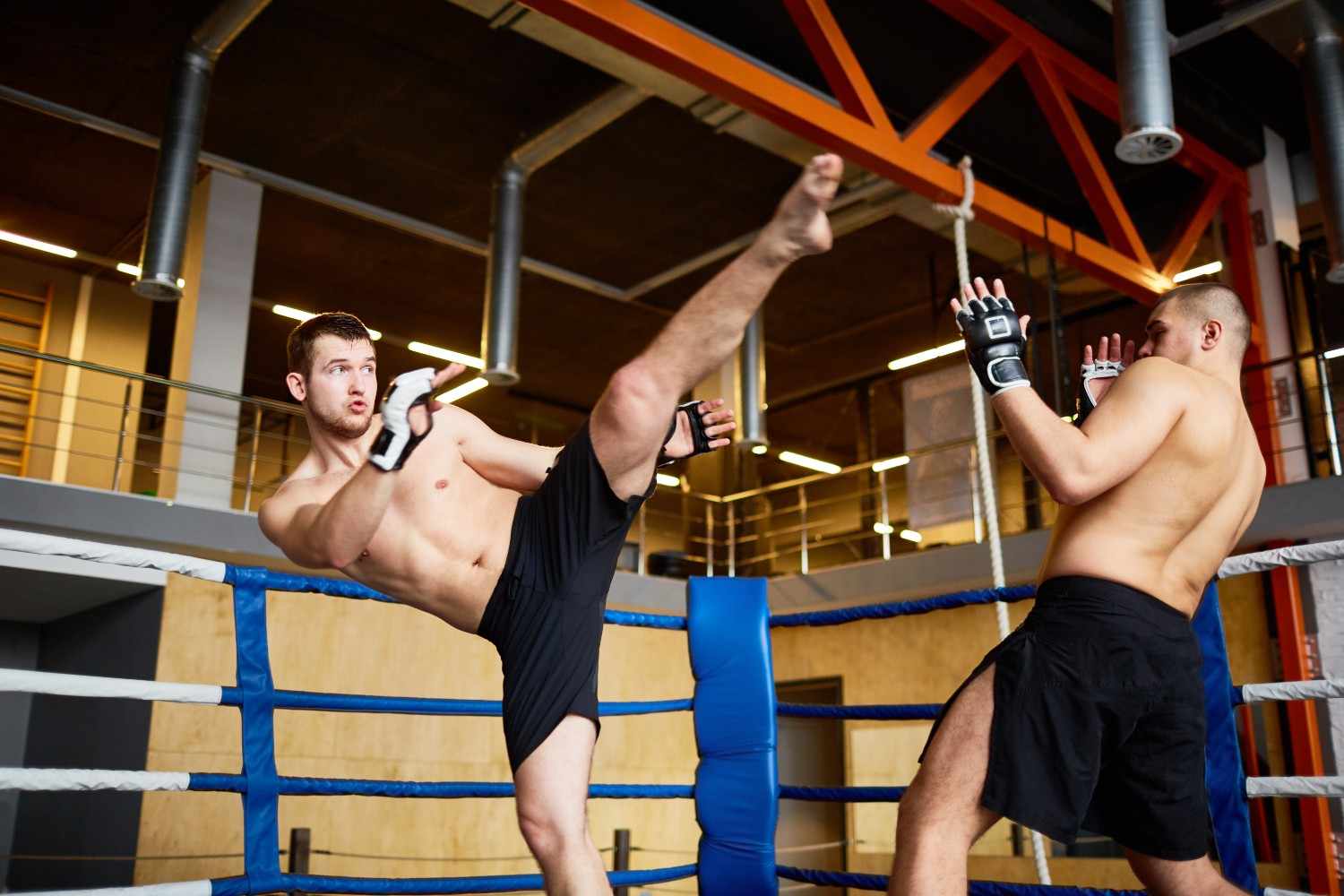 Mastering the Art of MMA A Closer Look at Team Perosh